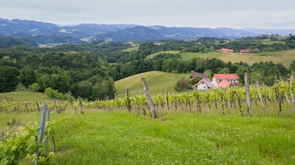 Weingut - Gästezimmer Resch Ludwig vlg. Powoden Leutschach Exterior foto